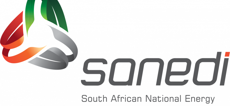 Sanedi Logo